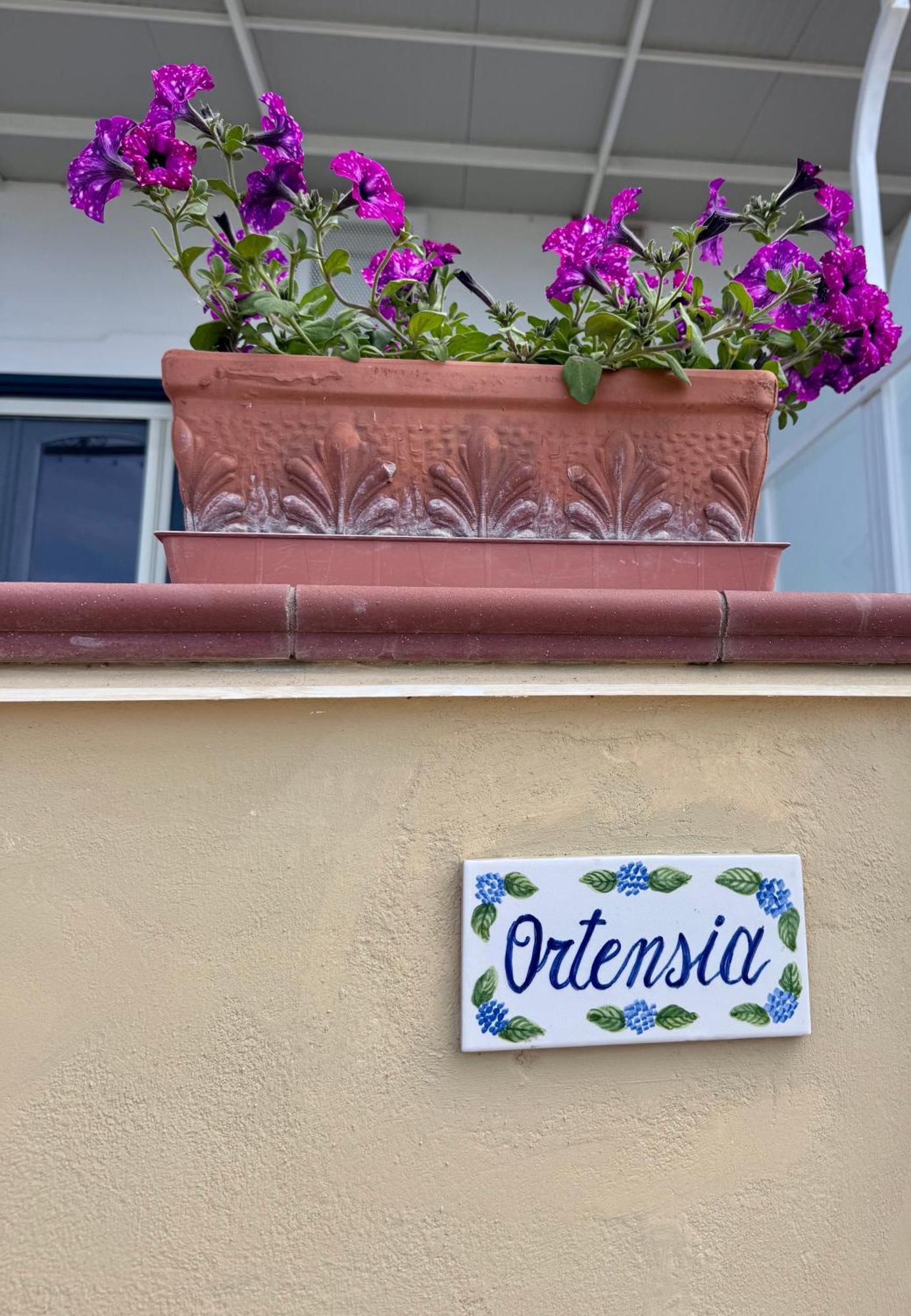 Il Profumo Dei Fiori Apartment Praiano Luaran gambar